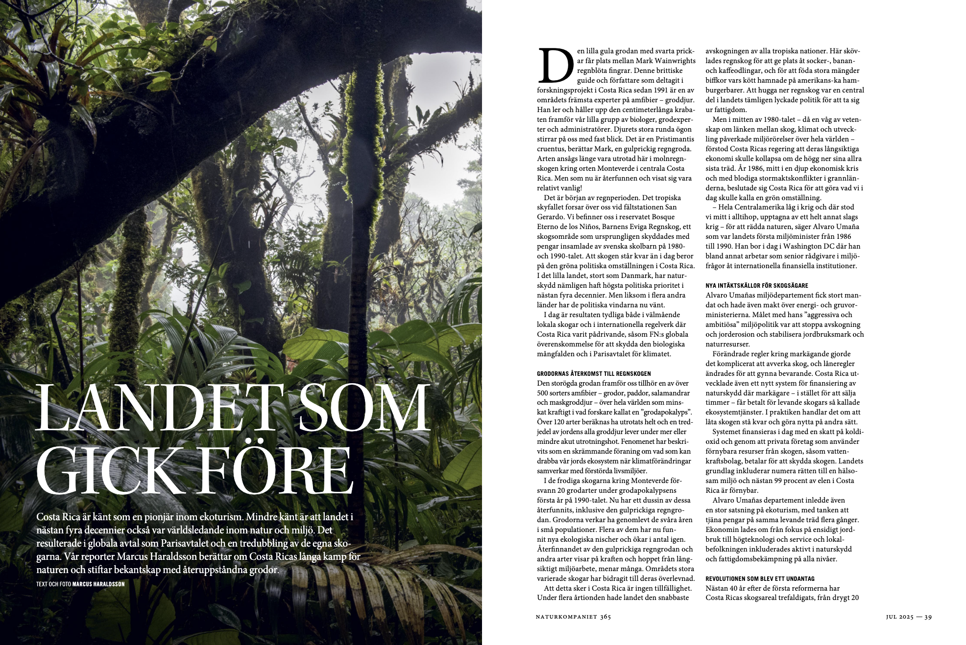 Frogs that were believed extinct are reemerging in Costa Rica thanks to its vast but fragile forest protections, Magazine 365 , December 2025. Click image for link