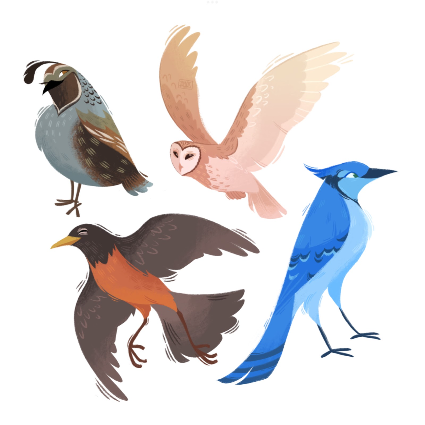 IMG_2207 (1).PNG