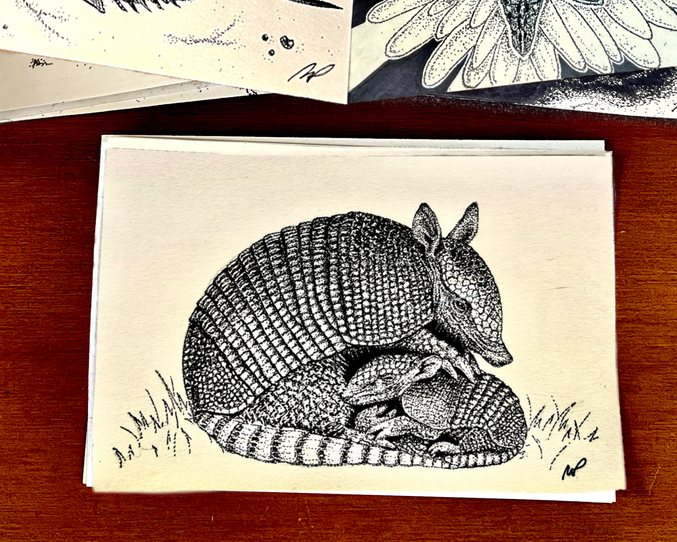133 - Armadillo