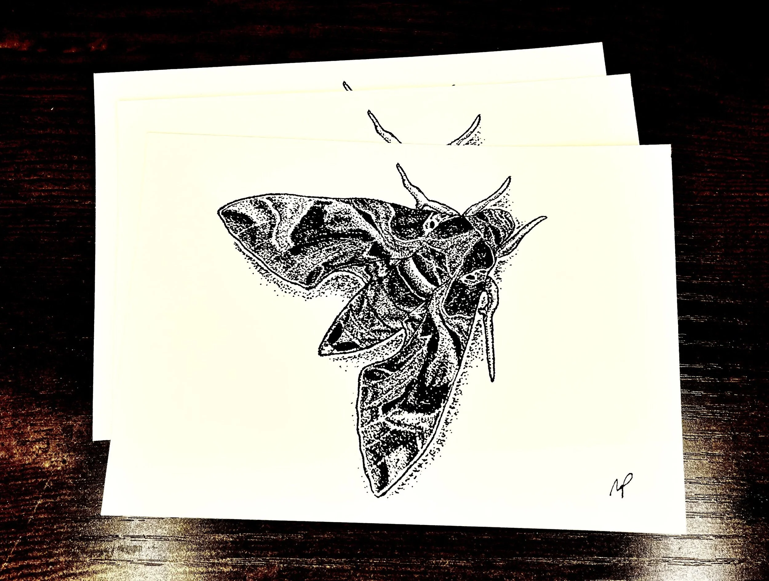 111 - Oleander Hawk Moth