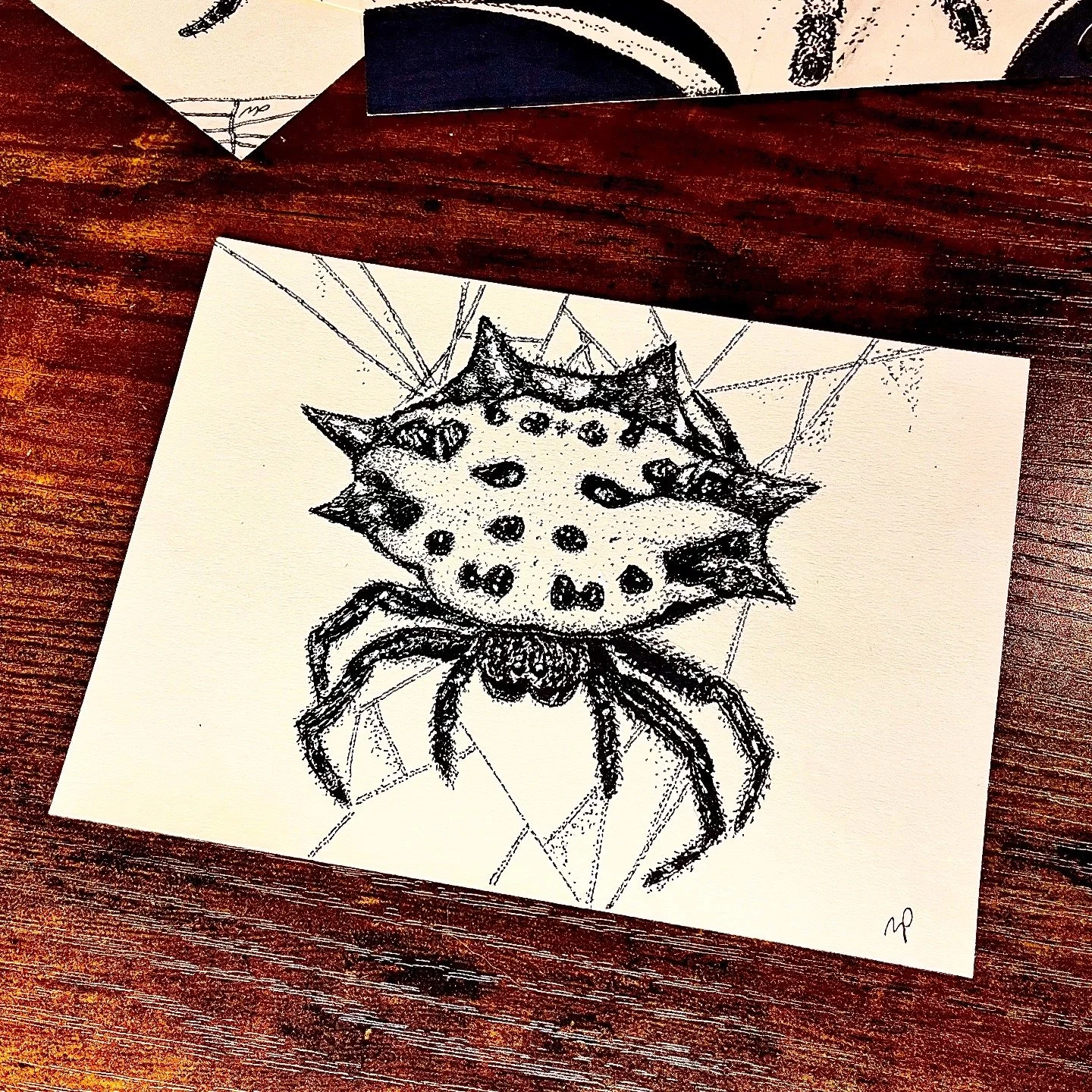 118 - Spinybacked Orb Weaver Spider