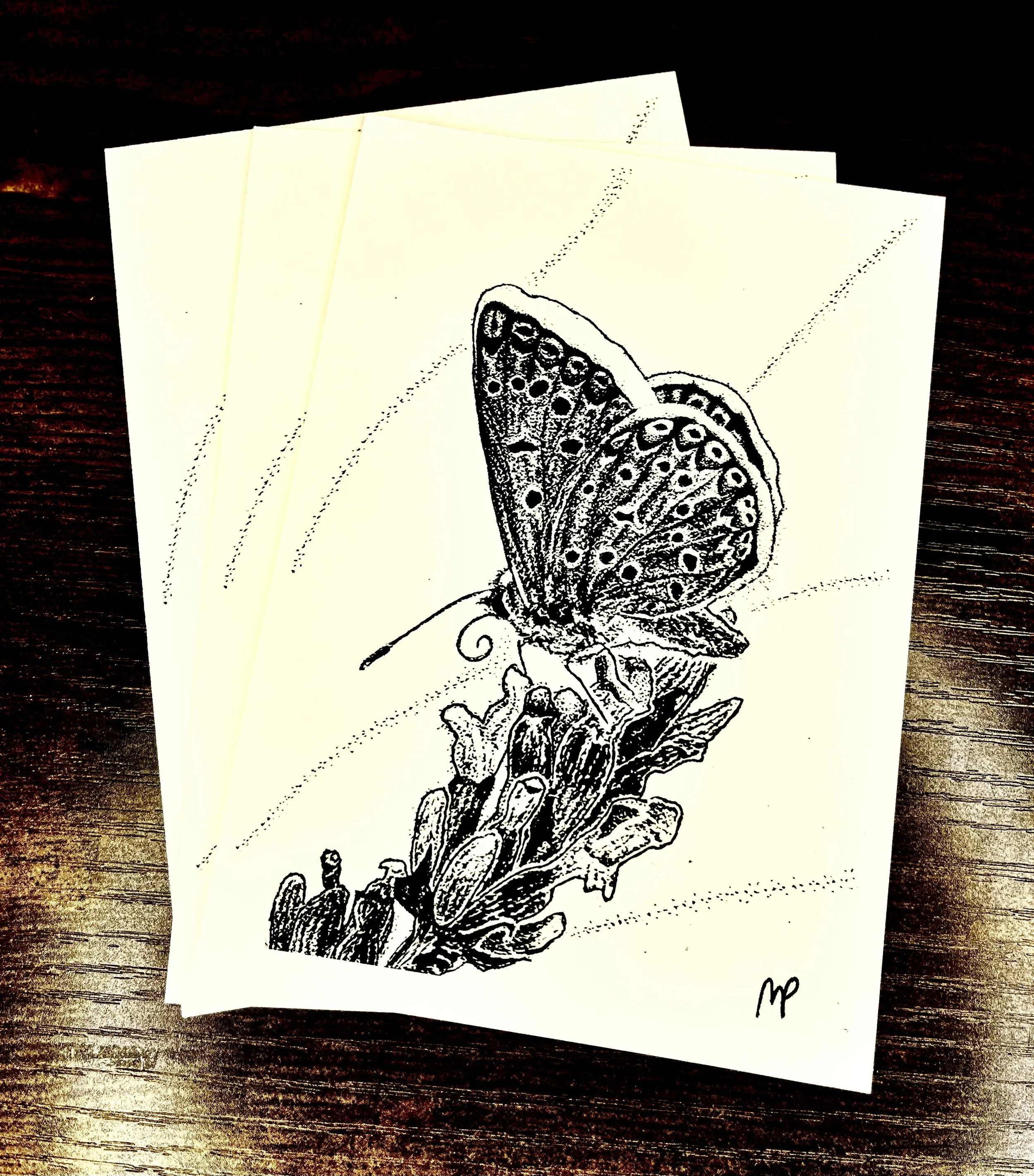 116 - Common Blue Butterfly