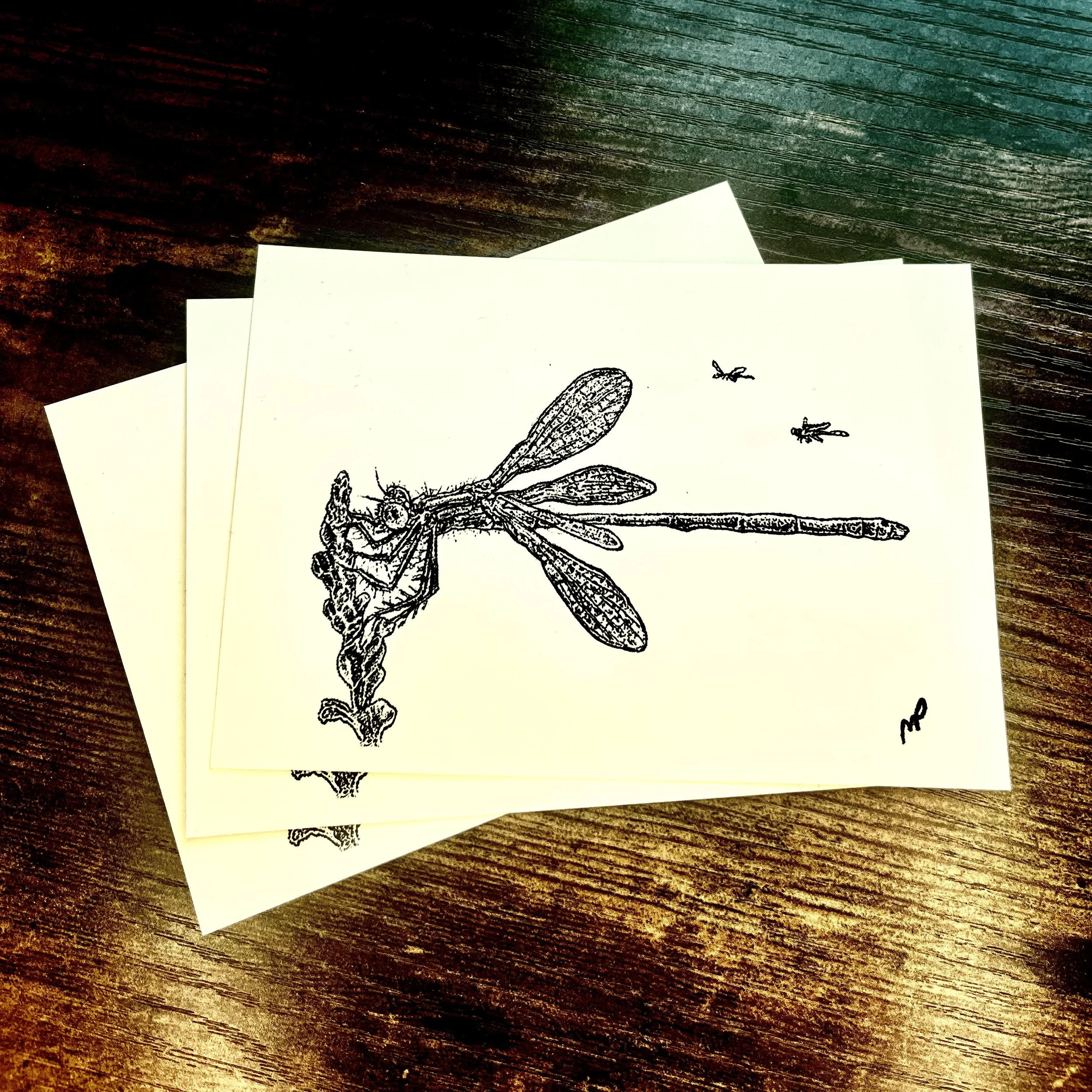 121 - Dragonfly