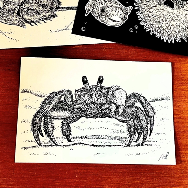 crab.png