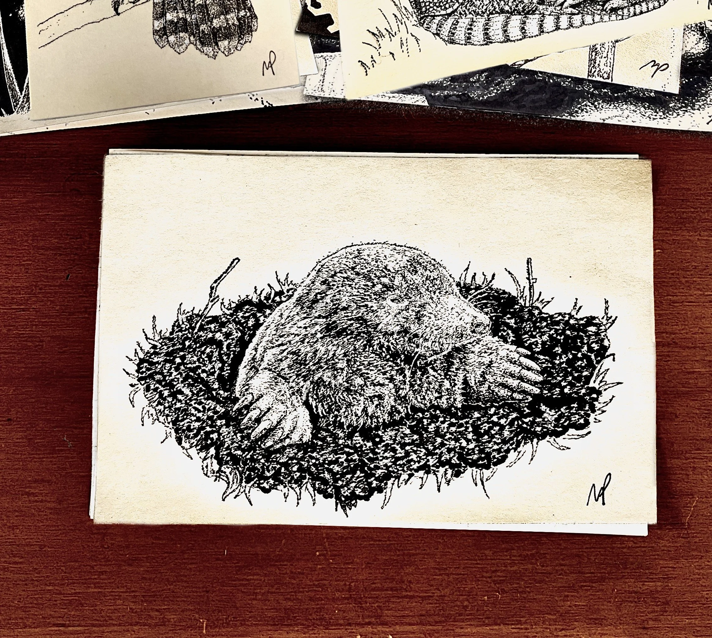 134 - Mole
