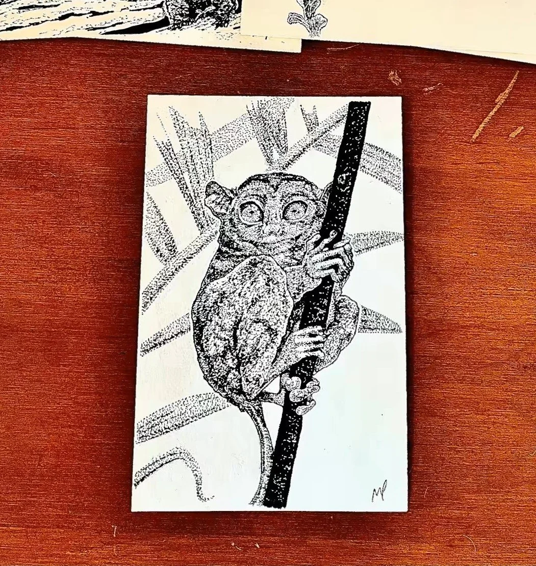 127 - Tarsier