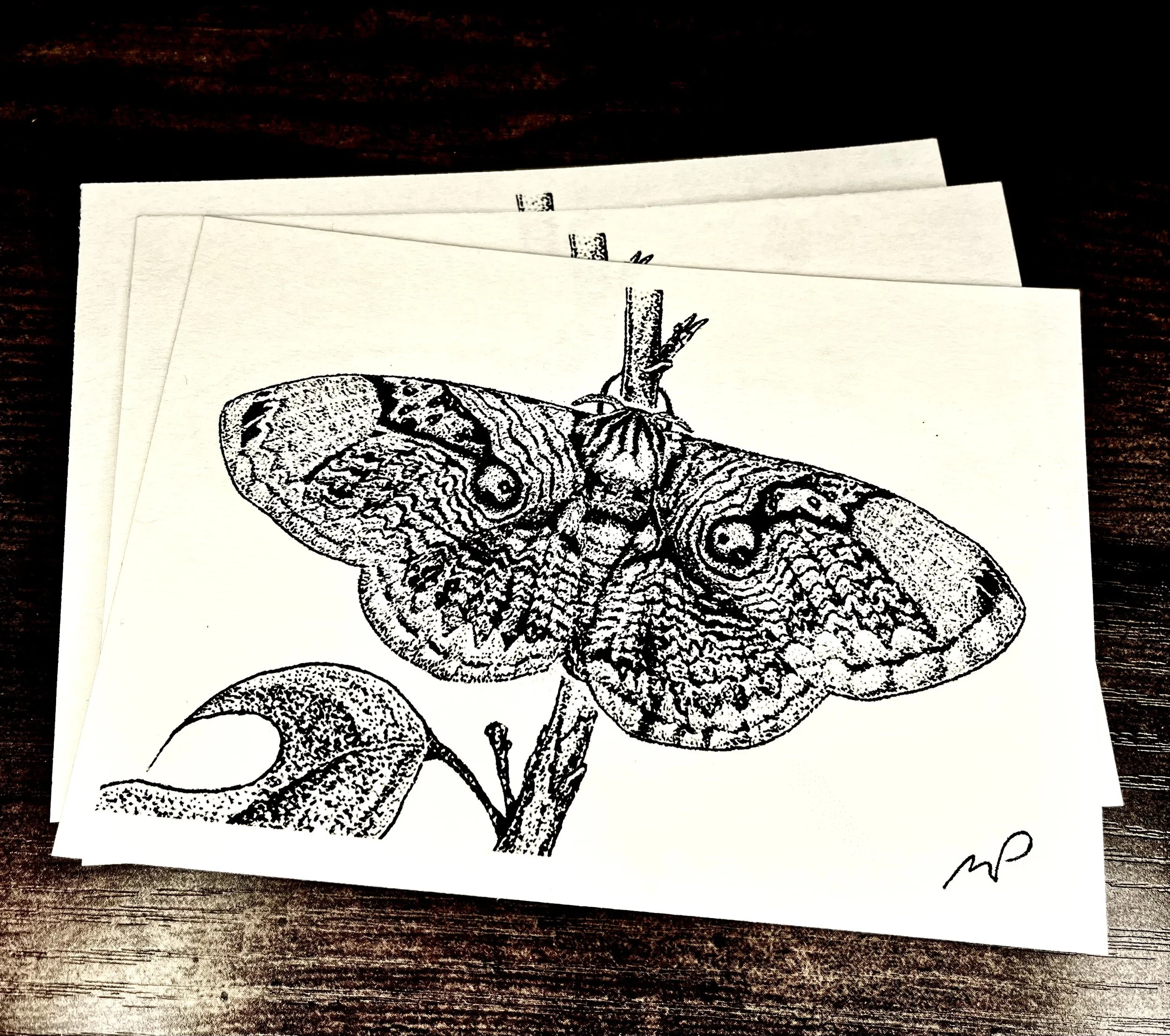 120 - Giant Owl Moth