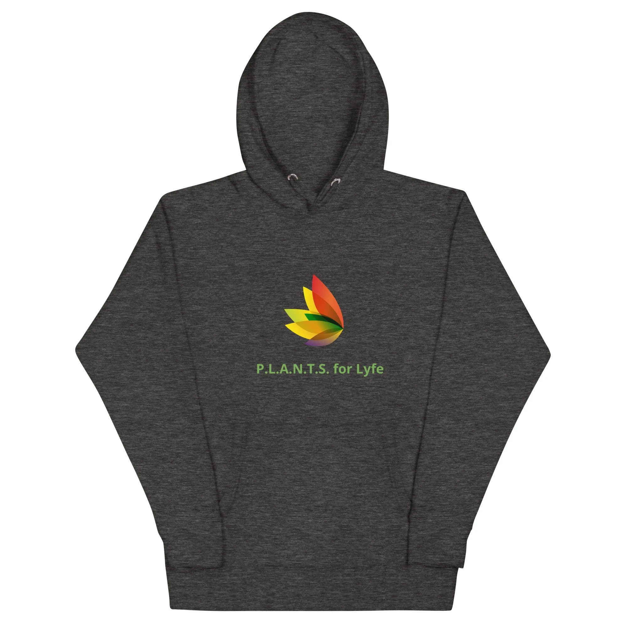 unisex-premium-hoodie-charcoal-heather-front-6855978f5a2bd.jpg