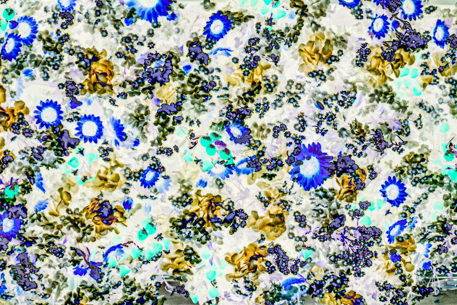 20260522-20260522-DSC02200-Edit.jpg
