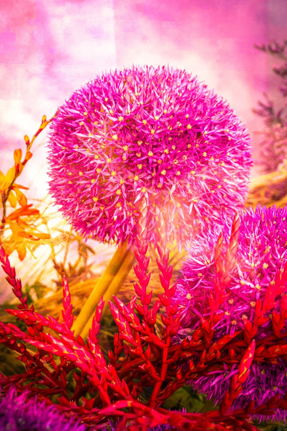 20260522-20260522-DSC02242-Edit-2.jpg