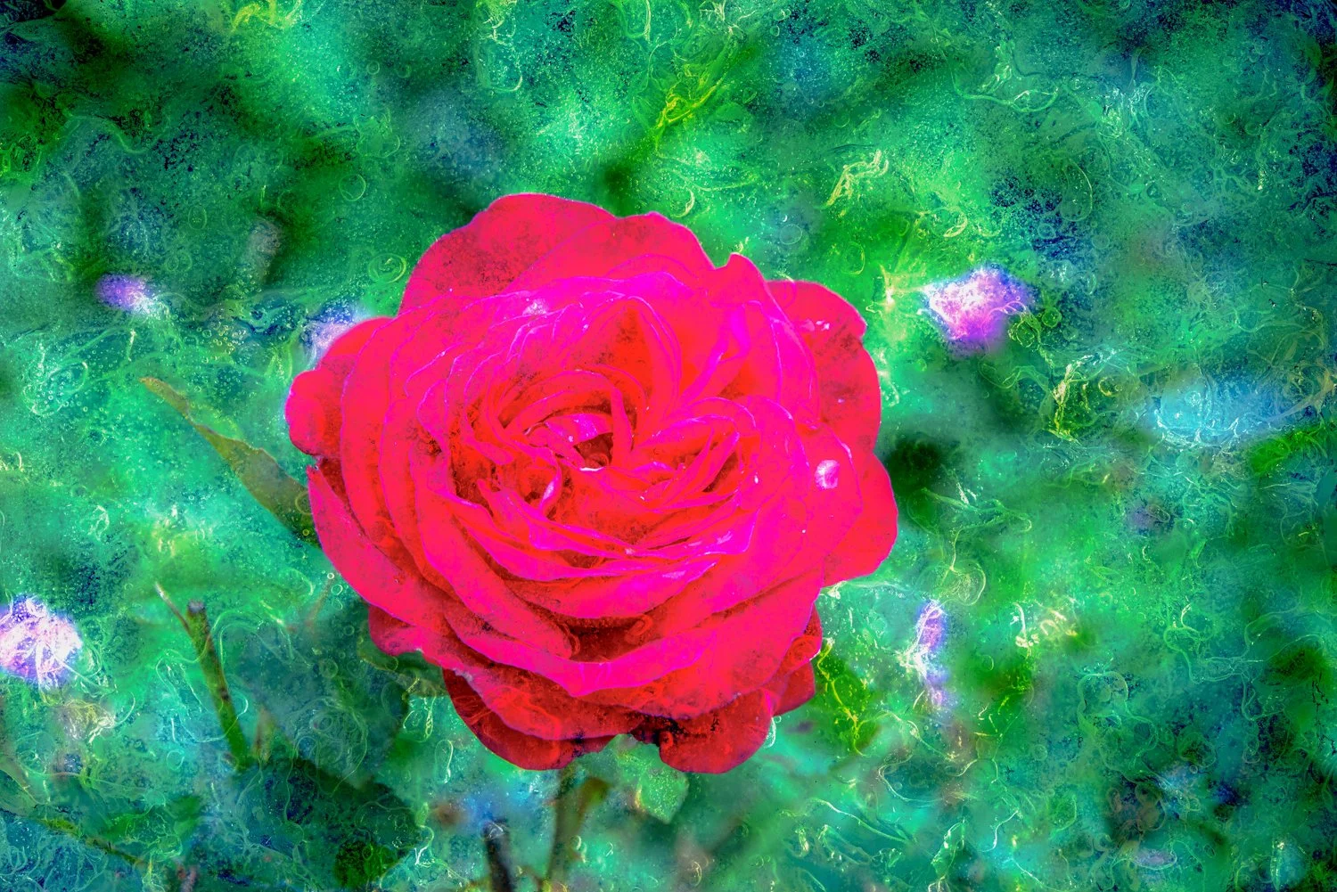 20170812-20170812-_DSC1903-Edit.jpg