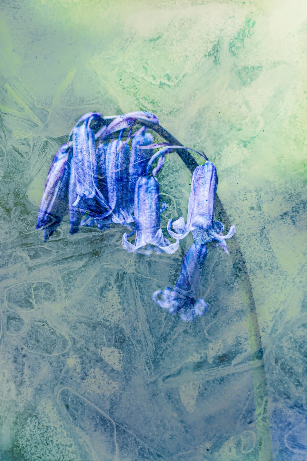 20190504-20190504-_DSC9897-Edit.jpg