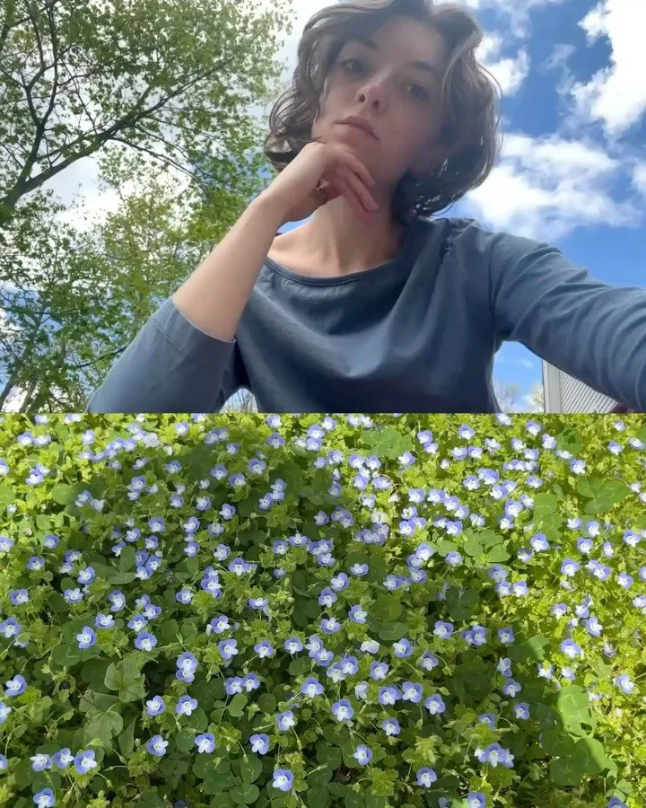 A recent venture of mine has been looking for plants that match my outfit on my nature walks🪻

These are the pairings I&rsquo;ve found so far, accompanied by the sentiments from my latest newsletter. 

This is similar to a color walk, where you look