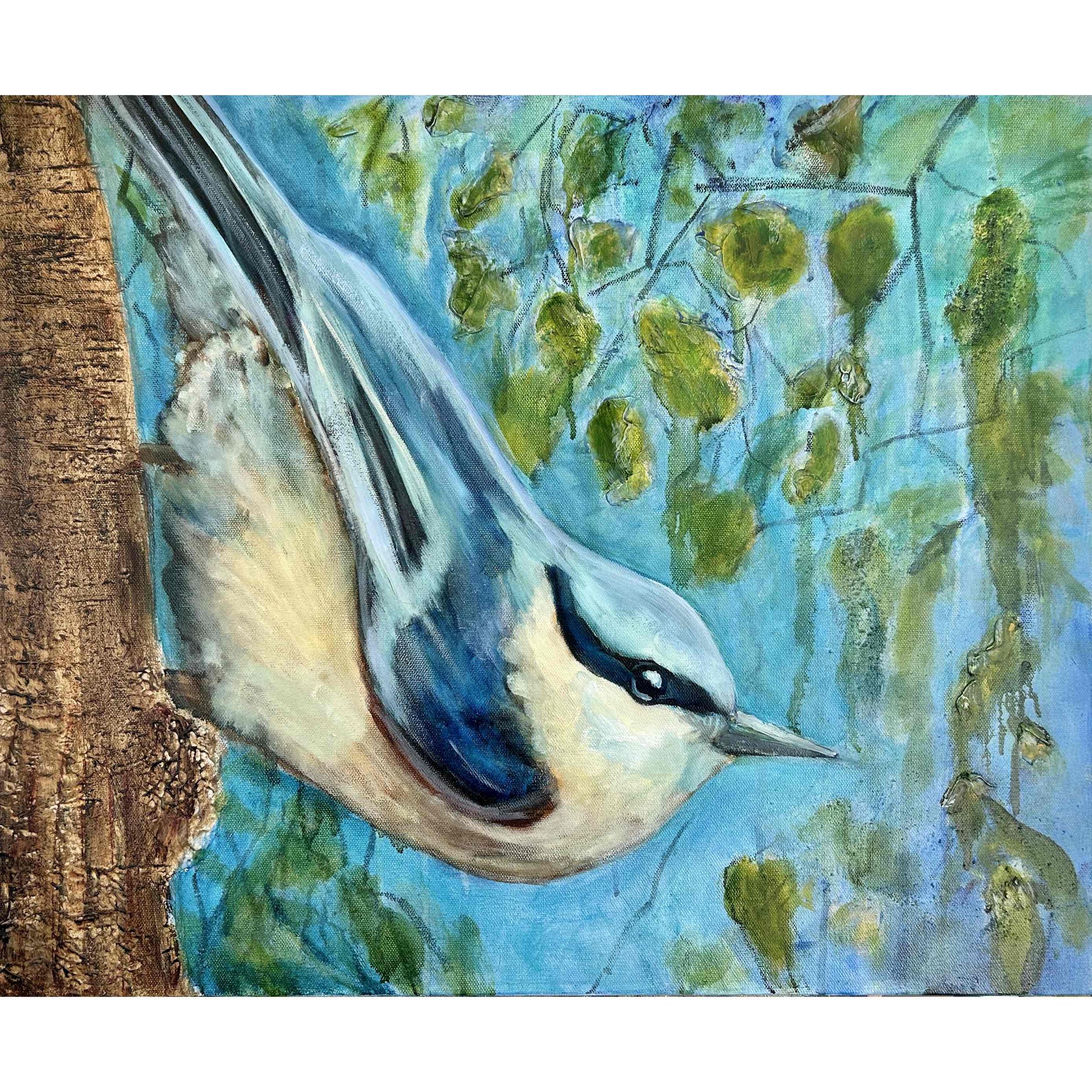 "European Nuthatch" 20x24