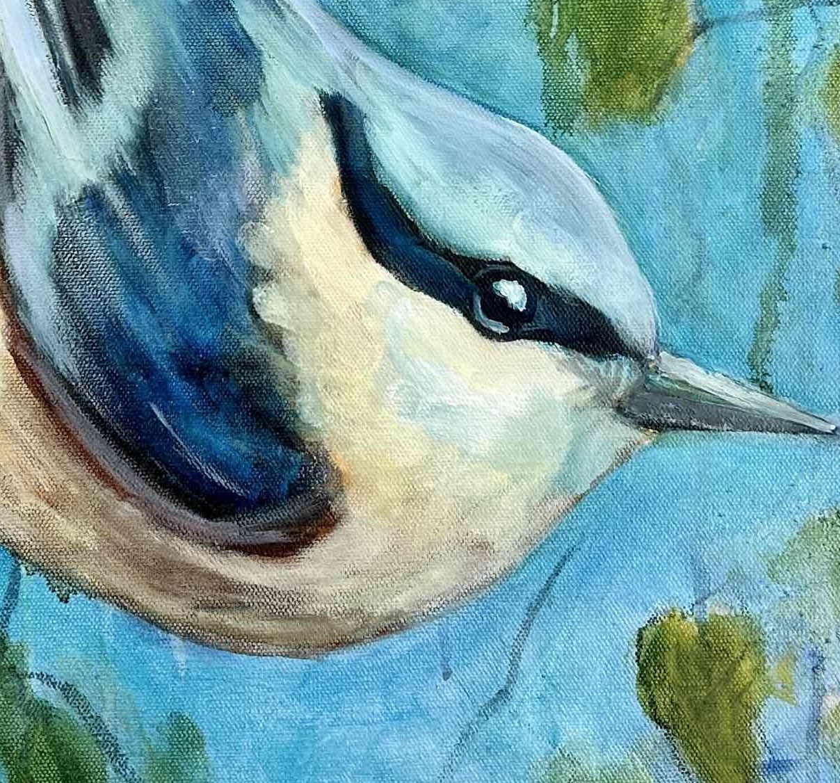 Eurasian Nuthatch.jpg