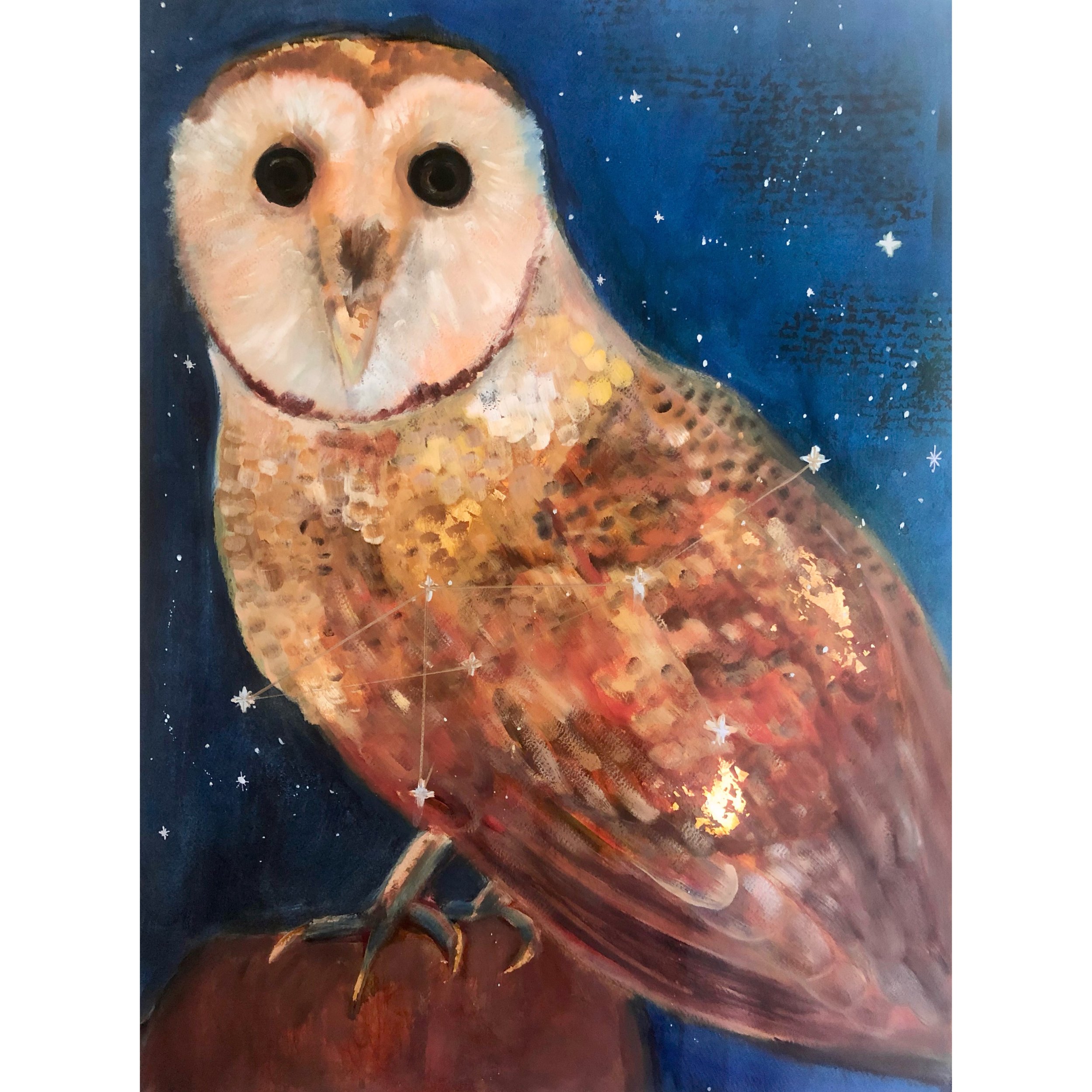 "Noctua (The Owl)" 30x24
