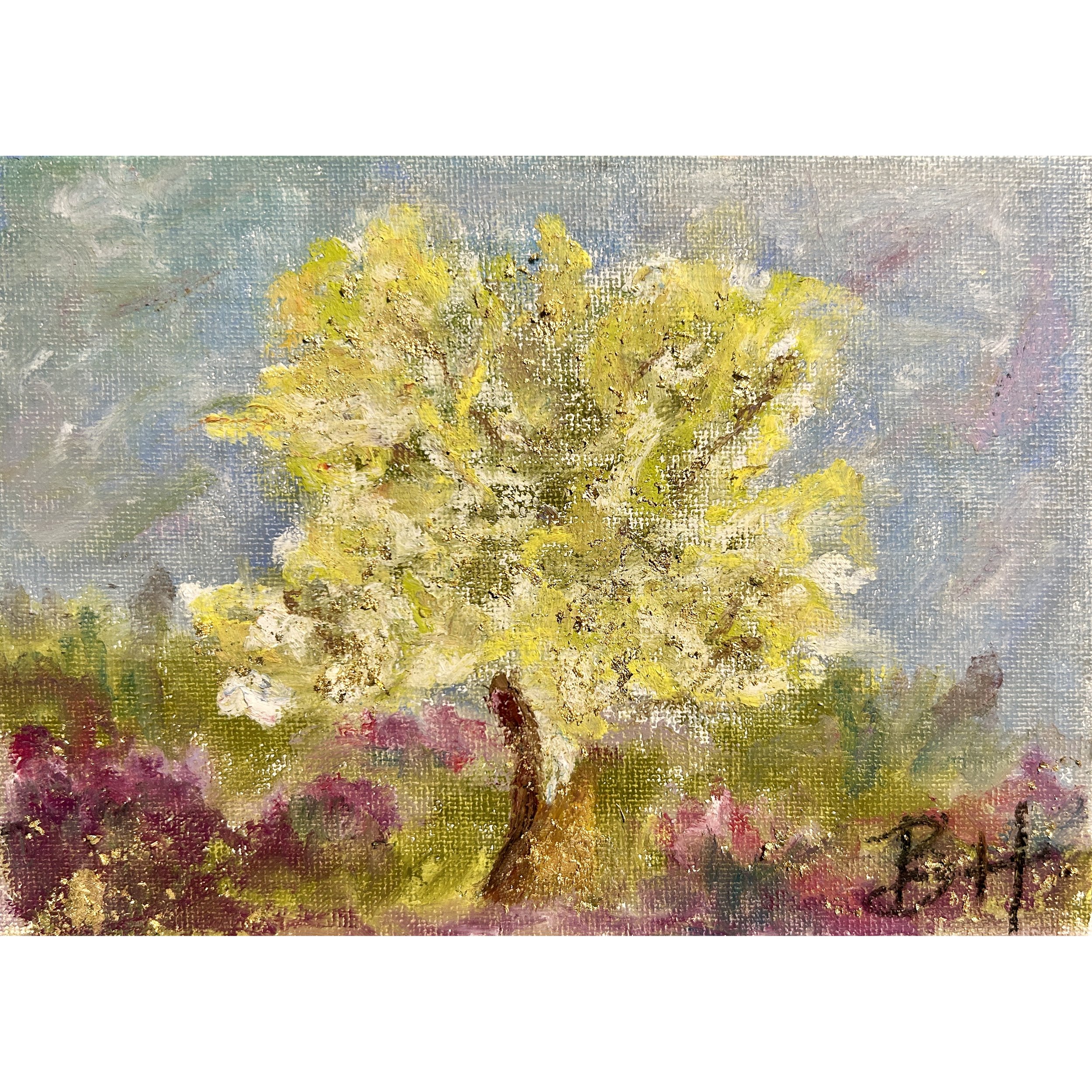 Tree In a Flower Field.jpg