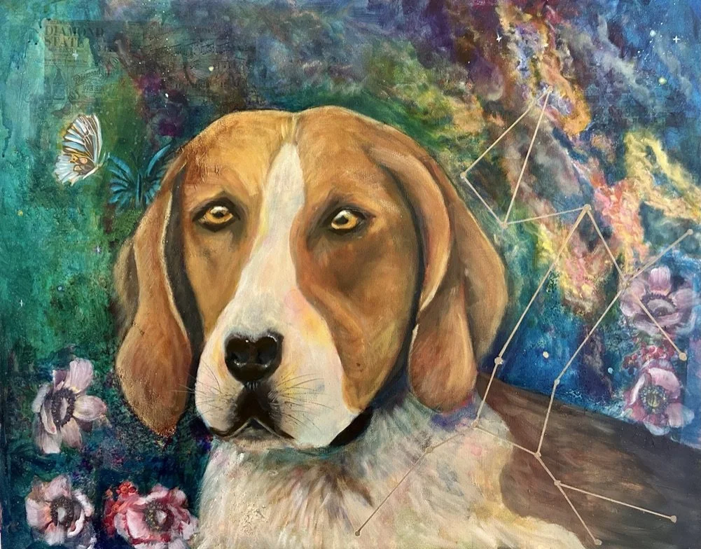 Canis Major-RHarris.jpeg