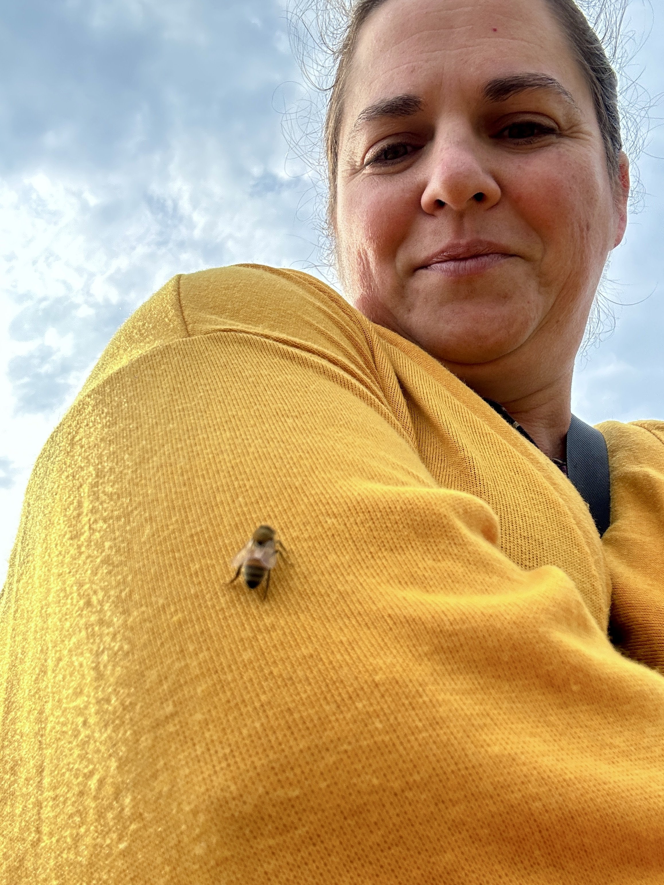 Bek Harris with a friendly bee hanging out on her sweater