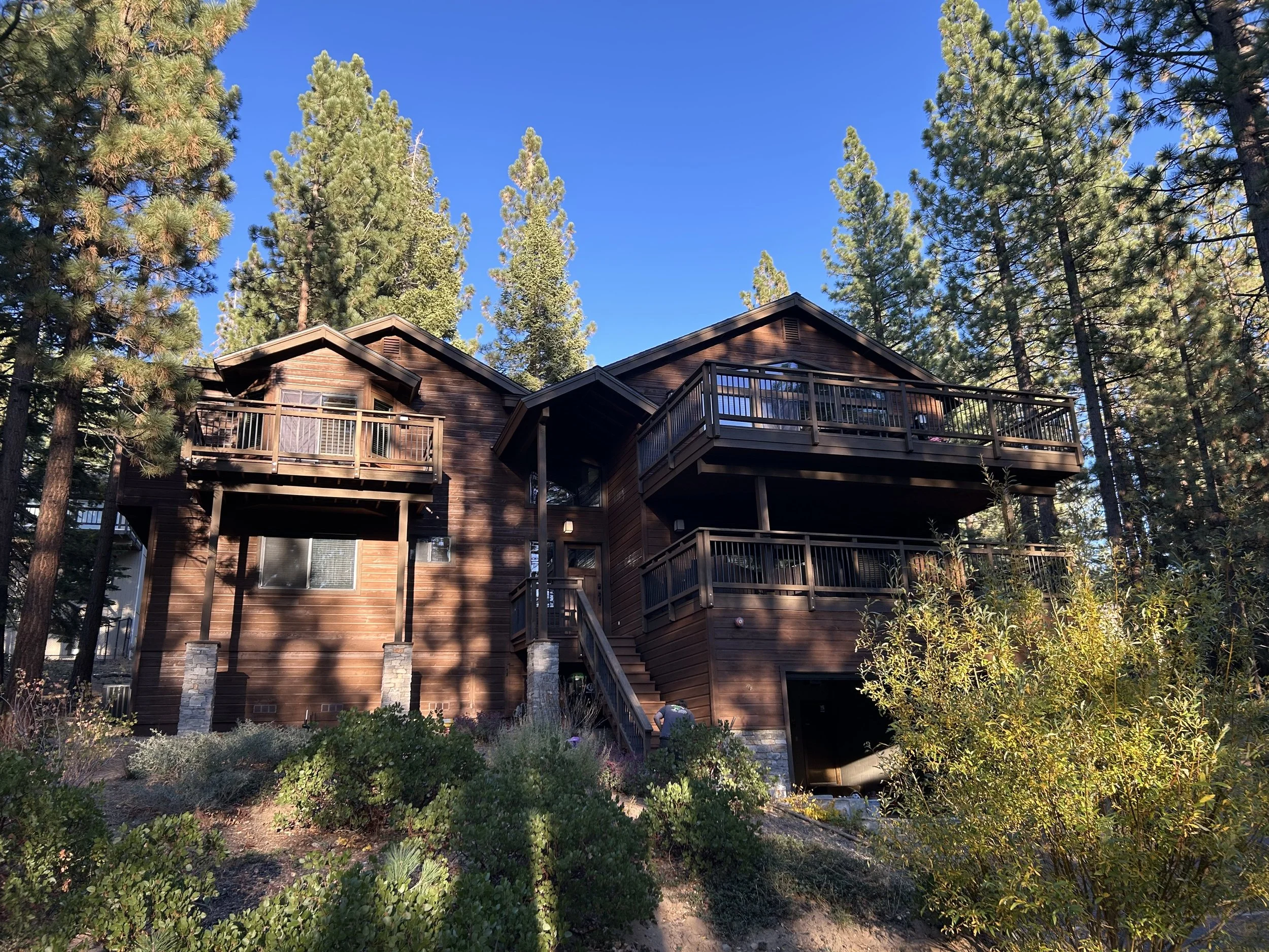 Multiple levels of a wooden house with balconies, surrounded by tall pine trees, on a clear day with blue sky. Roots to Rooftops Exterior Stain before and after