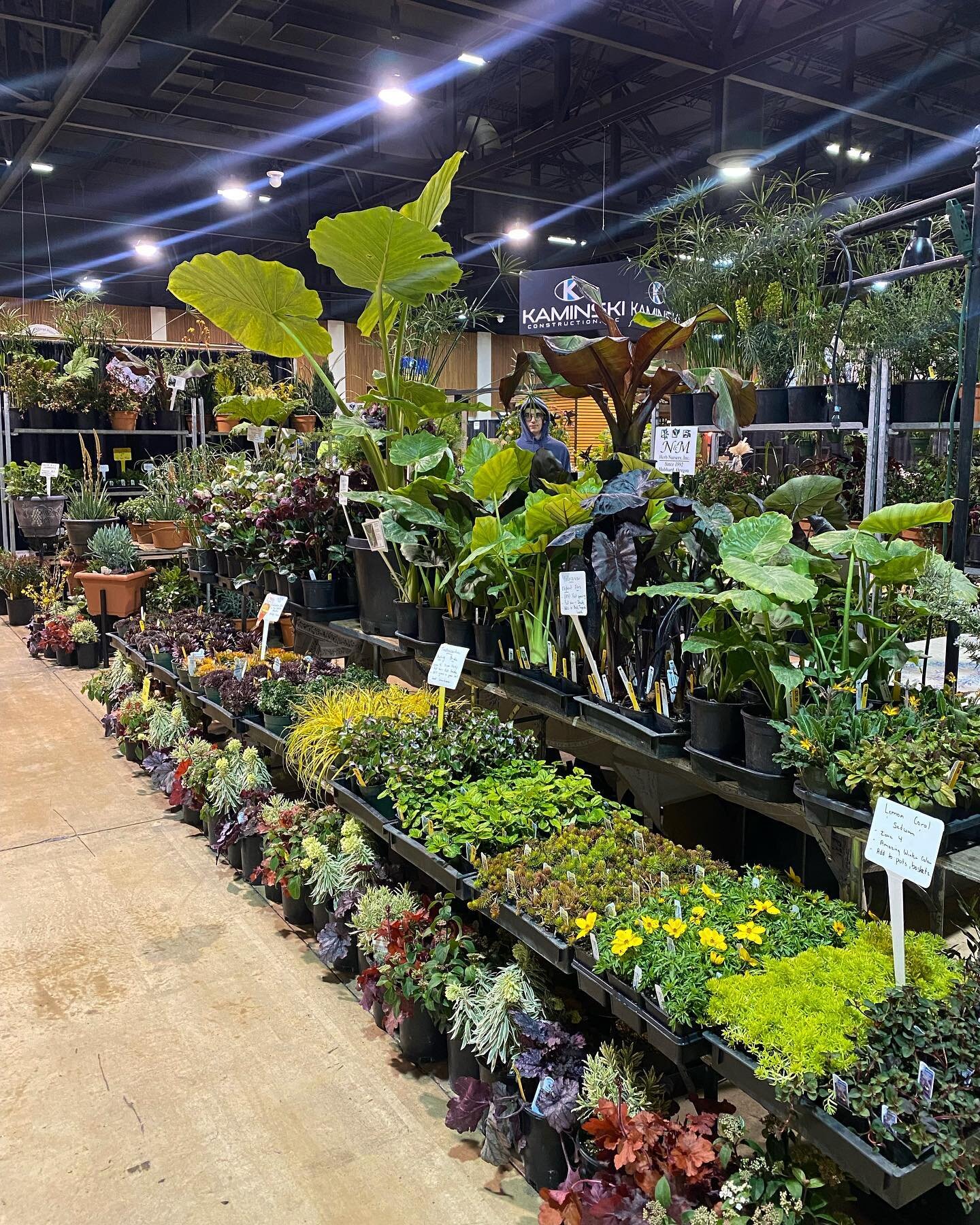 Here we come Lane County Home &amp; Garden Show 🪴🤍

Come check out our booth this weekend in Eugene @ the Lane Event Center March 10-12! Just look at all that color 🌻🌷

Looking forward to seeing all you gardeners out there! 

#nmherbnursery #pere