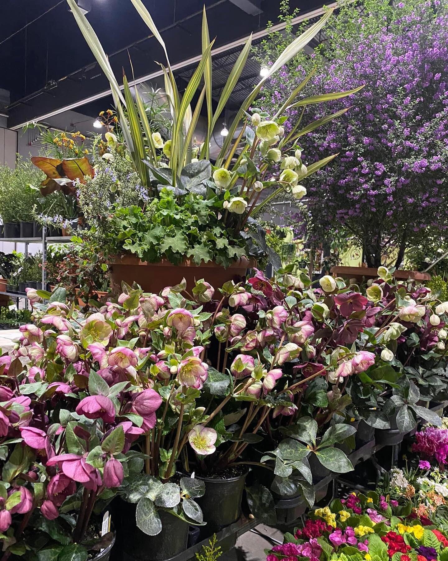 WE&rsquo;RE BACK!! Come say hi at the Home &amp; Garden Show @ the Expo Center in Portland! 
Looking forward to seeing you there!🪴🪴
#nmherbnursery #2023season #gardening
