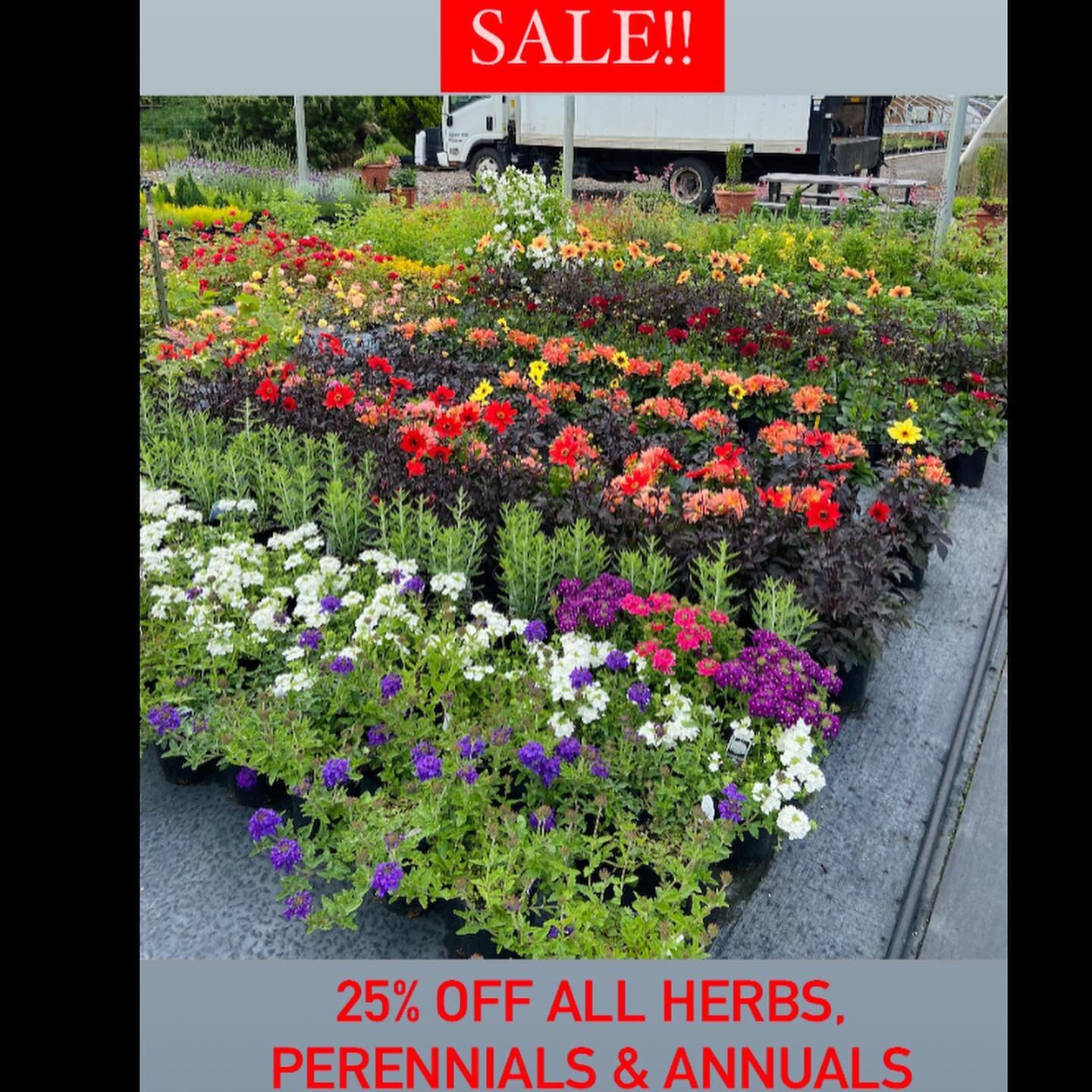 Excellent Selection, it&rsquo;s not too late to beautify your garden! 

11702 Feller Rd. NE 
Hubbard, OR. 97032

Mon-Sat: 10am-5pm
Sun: 11am-4pm

#NMHerbNursery #sale #plantsale #perennials #annuals #herbs #oregonnursery #nursery