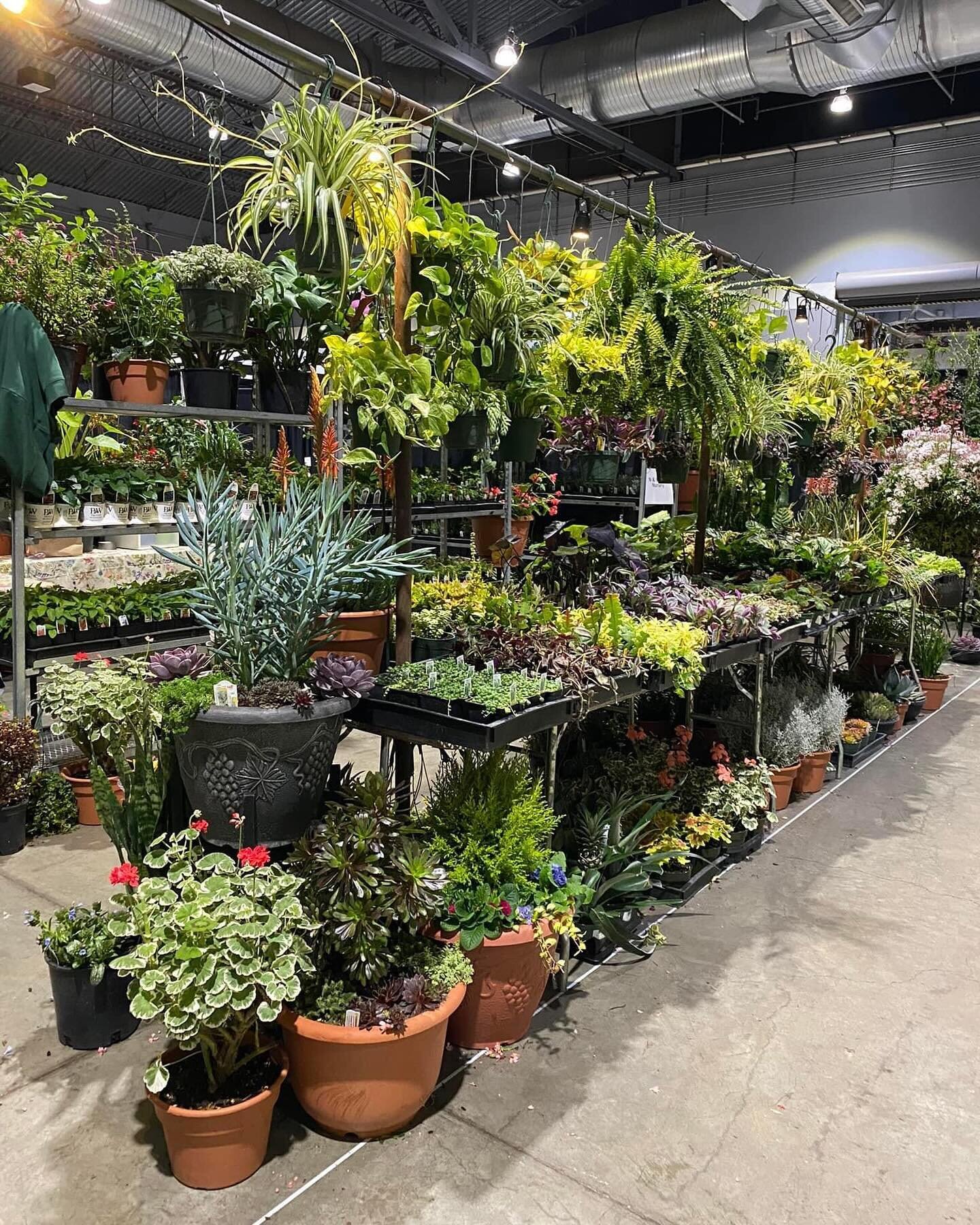 All set up for the Home &amp; Garden Show Feb.22-25 at the Portland Expo Center🪴🍃🌱