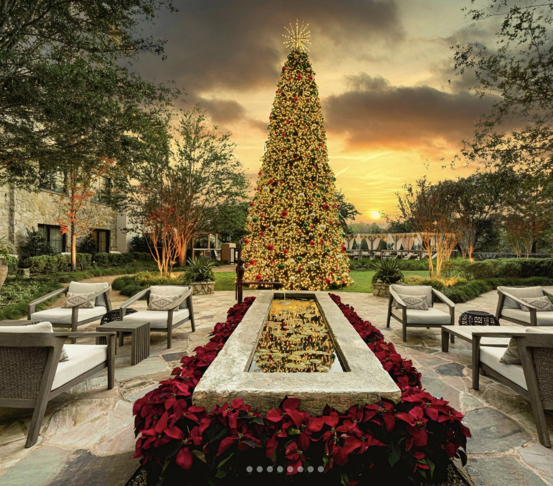 The Christmas Tree in the Backyard at Hotel Driver