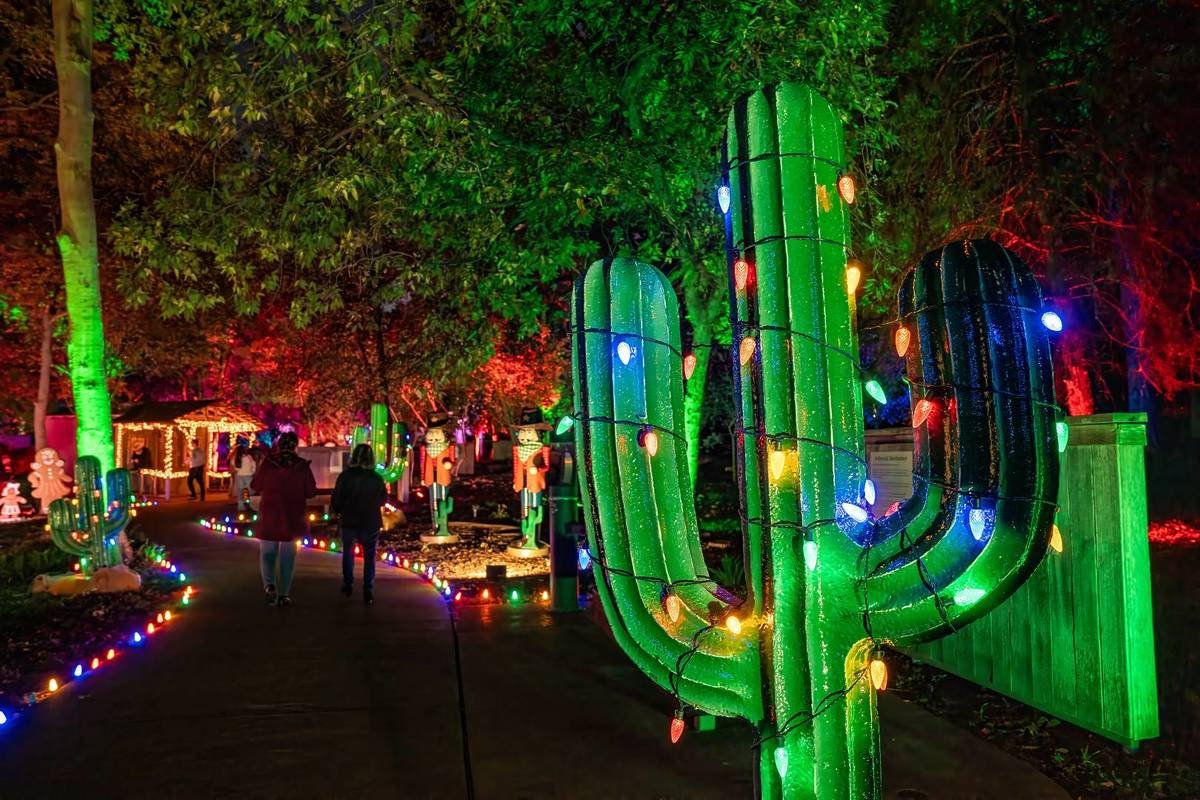 A path of lights in the Fort Worth Botanical Gardens at Christmas in the Garden