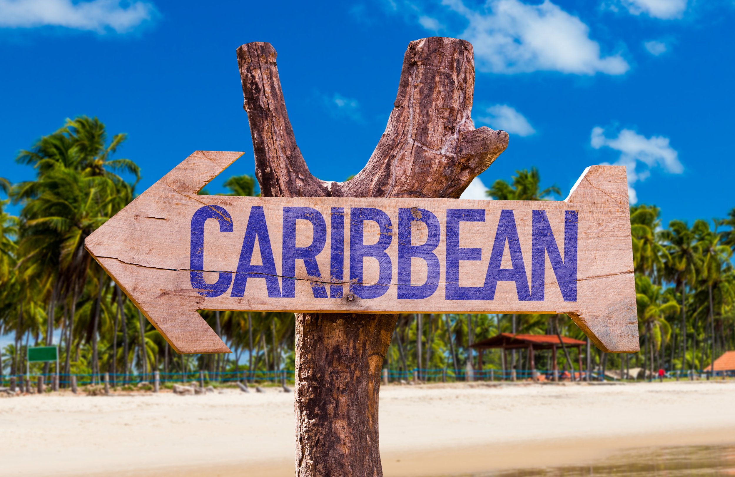 Afro-Latino Caribbean Day