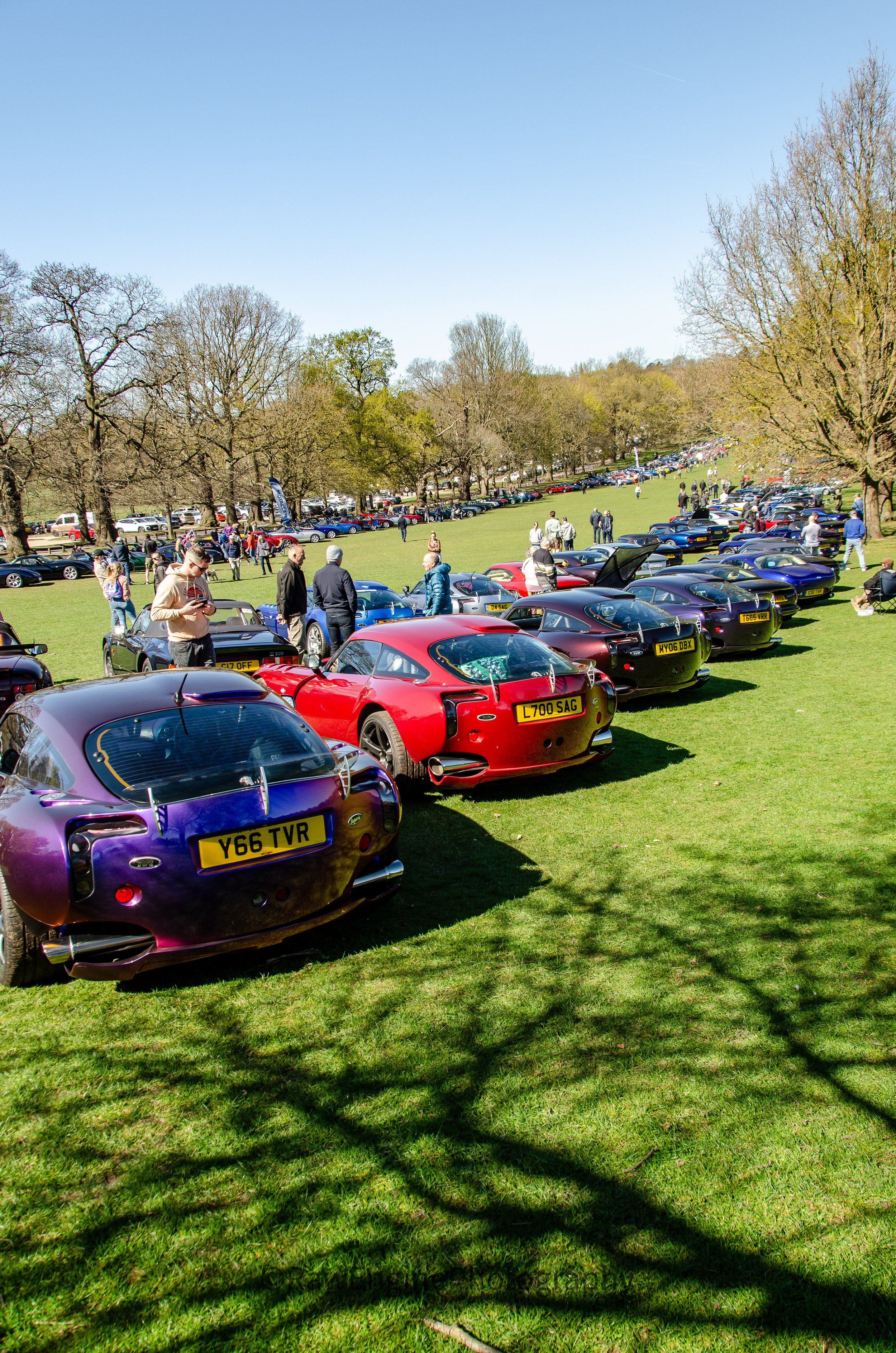 TVRSagaris_WH25-06.jpg