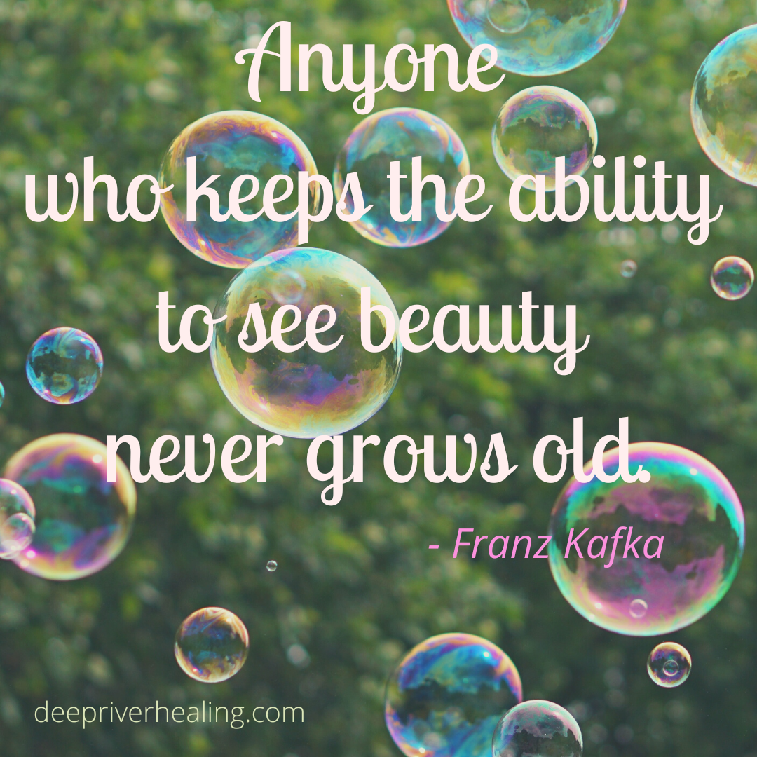 Finding the Beauty in Your Life