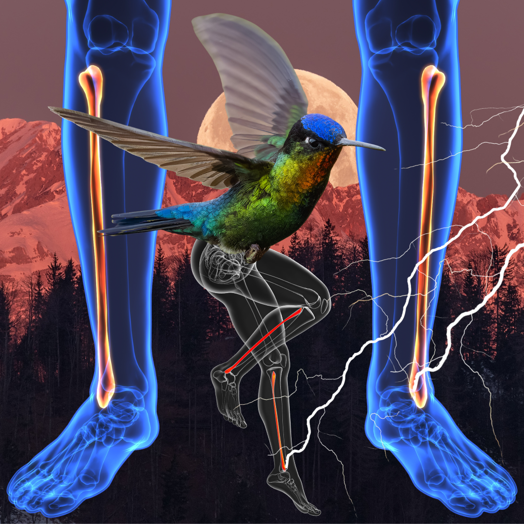 Healing Art + Energy Healing