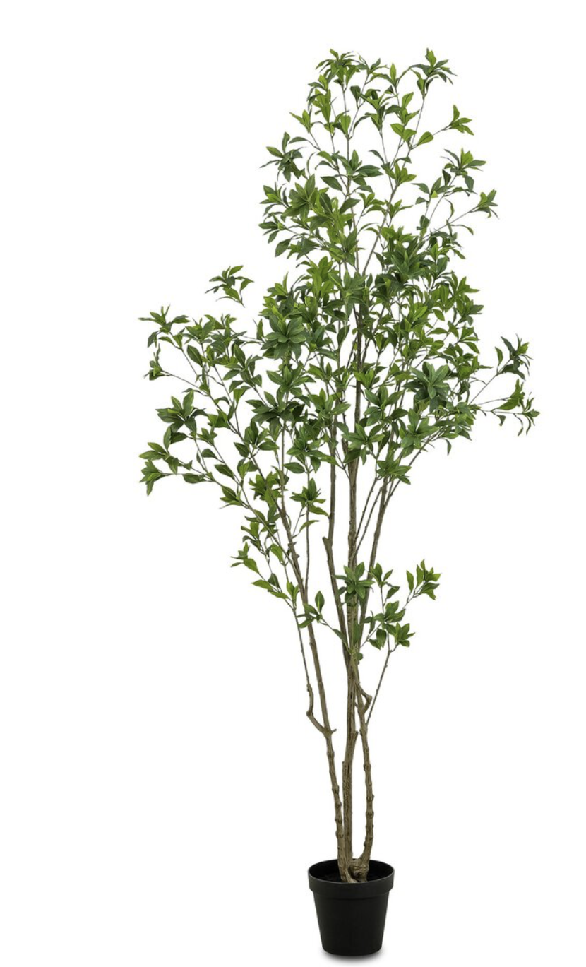 Screenshot 2025-12-20 at 1.50.20 pm.png