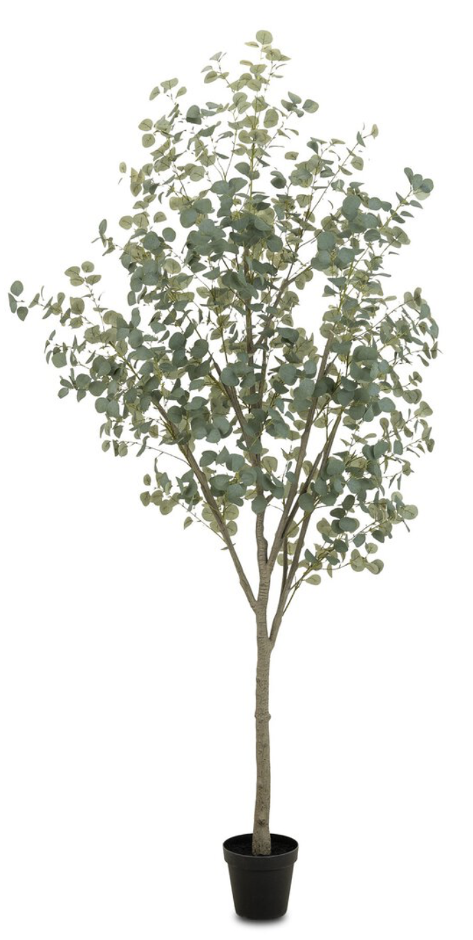 Screenshot 2025-12-20 at 1.16.40 pm.png