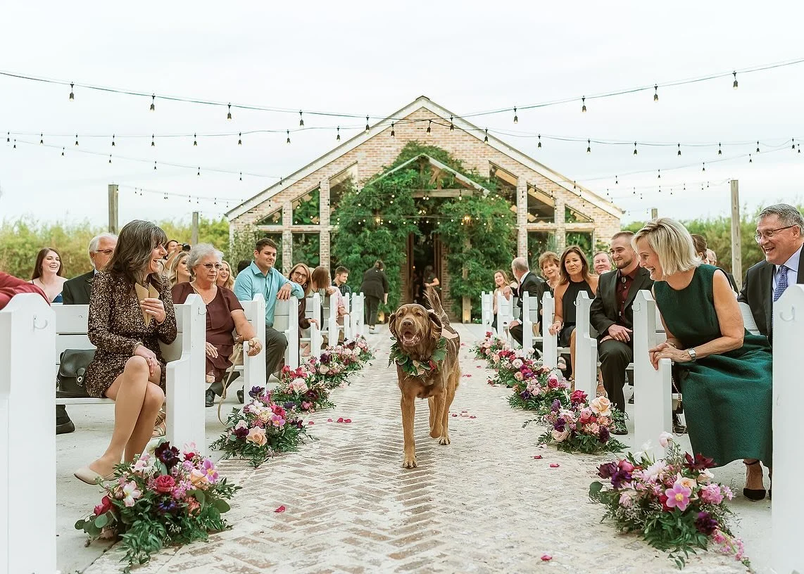 Every love story is better with a wagging tail.🐶🤍

These pups had the most important walk of the day, straight to their people.✨
-
Venue: @theberrybarn_thegreenery 
Wedding Planner: @bontemps.eventplanning 
Photographer: @joyywithjess 
Dog Attendan