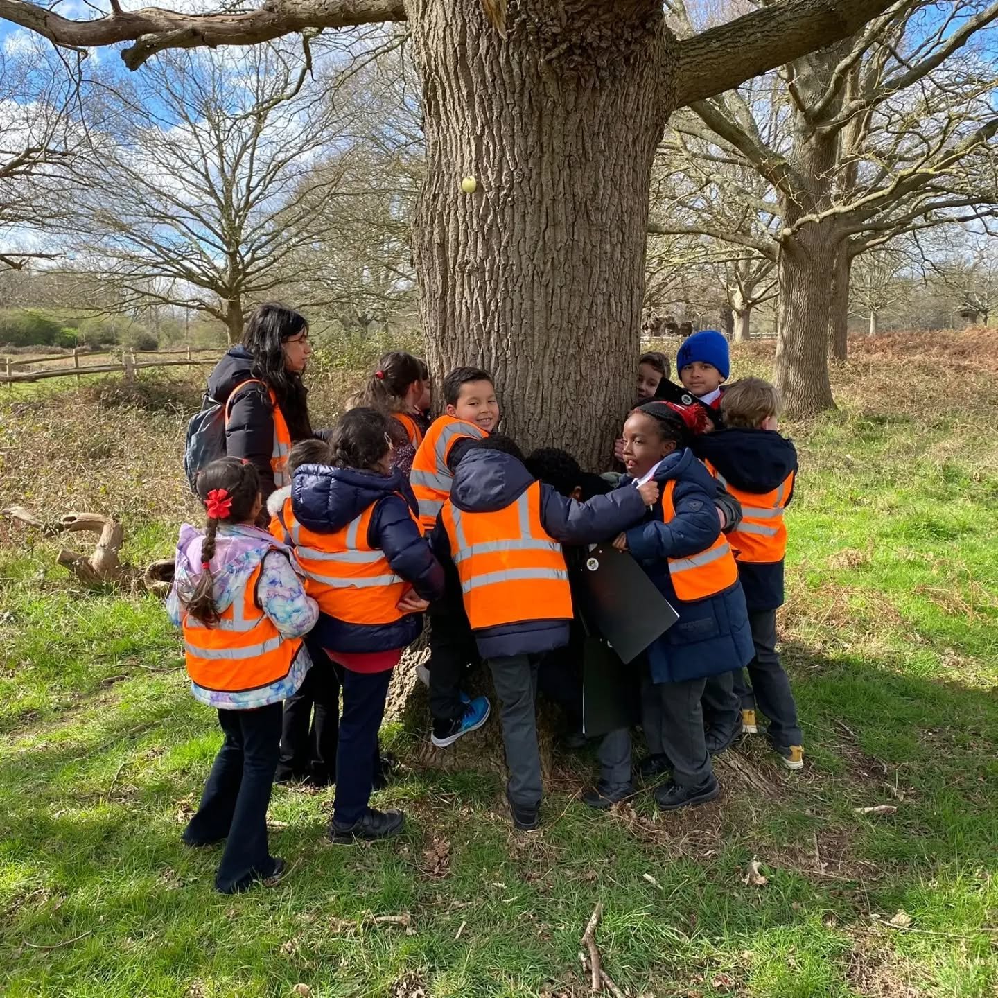 🌿 Our Year 1 pupils had a fantastic time on their recent trip to Holly Lodge, exploring the wonders of plants and the natural world around them.

 From discovering different species to learning how nature grows and changes, it was a truly enriching 