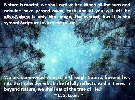 BeyondNature-Lewis.jpg