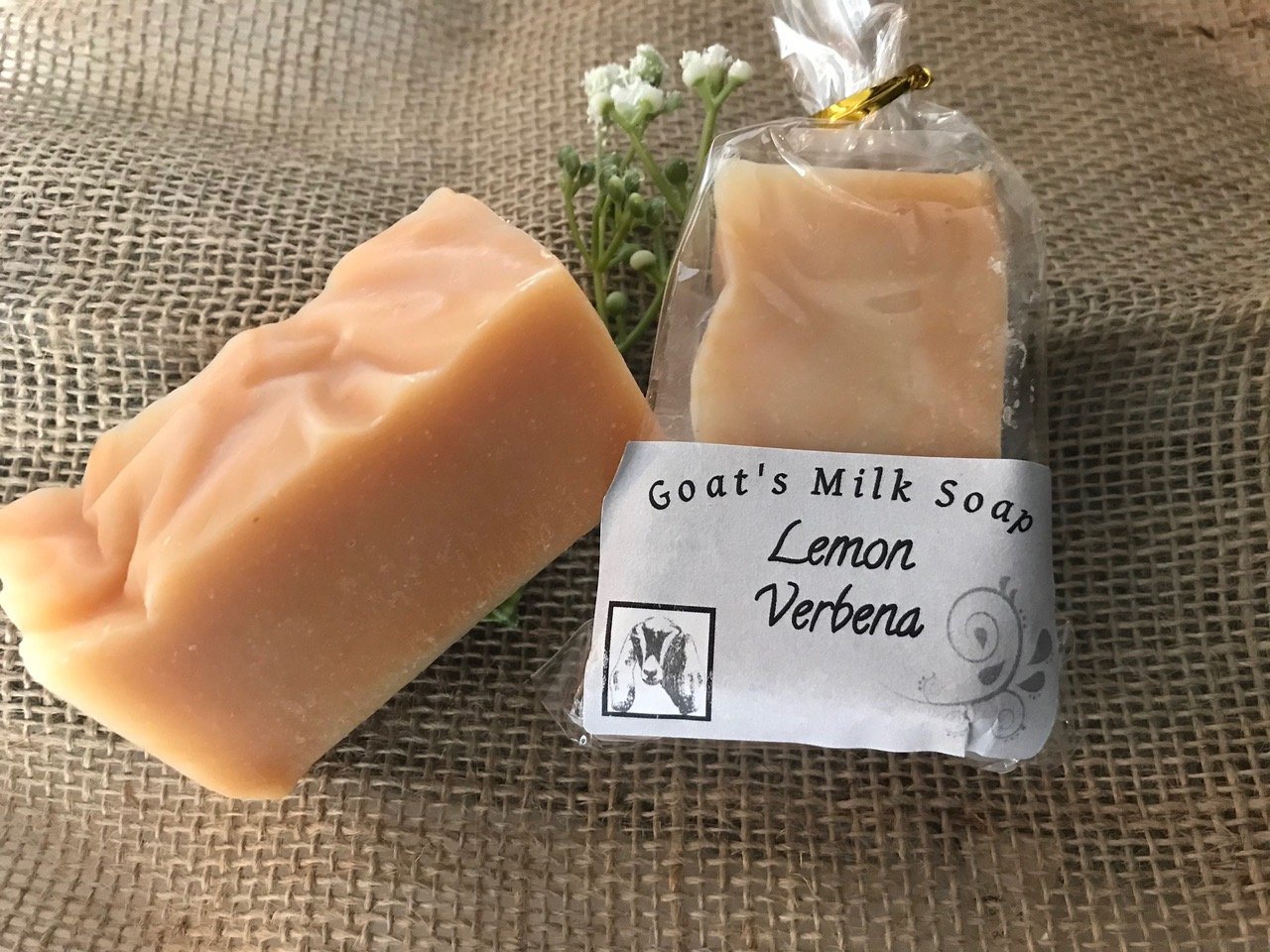 Lemon Verbena Soap.jpeg