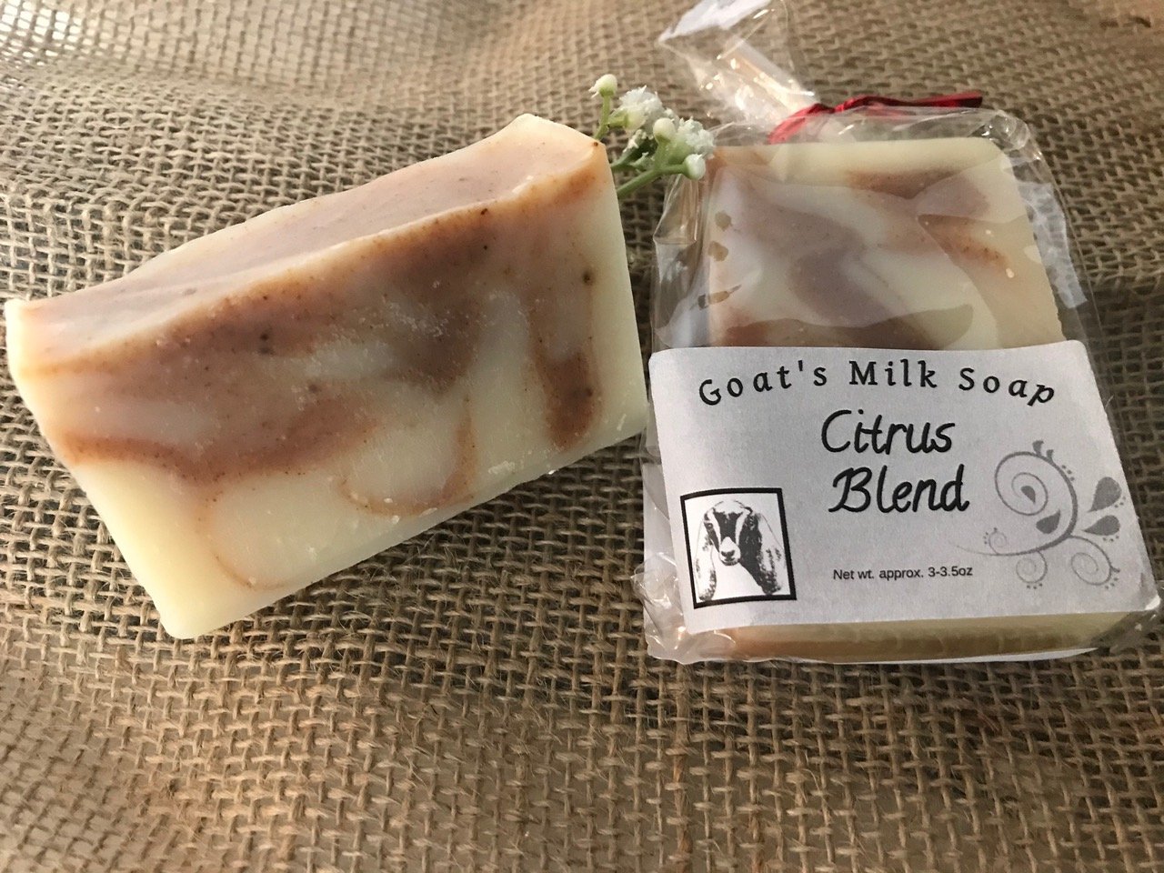 Citrus Blend Soap.jpeg