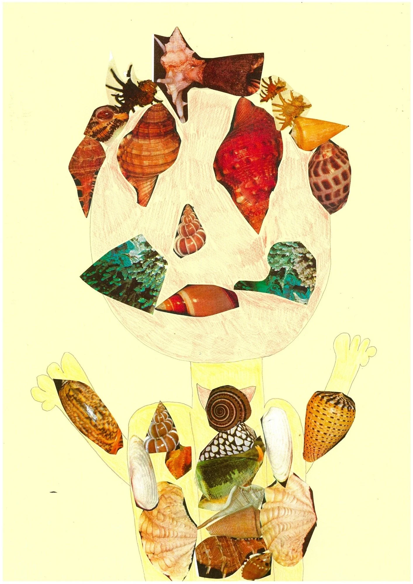 Sea Shells_Emily Tommasetti.jpg