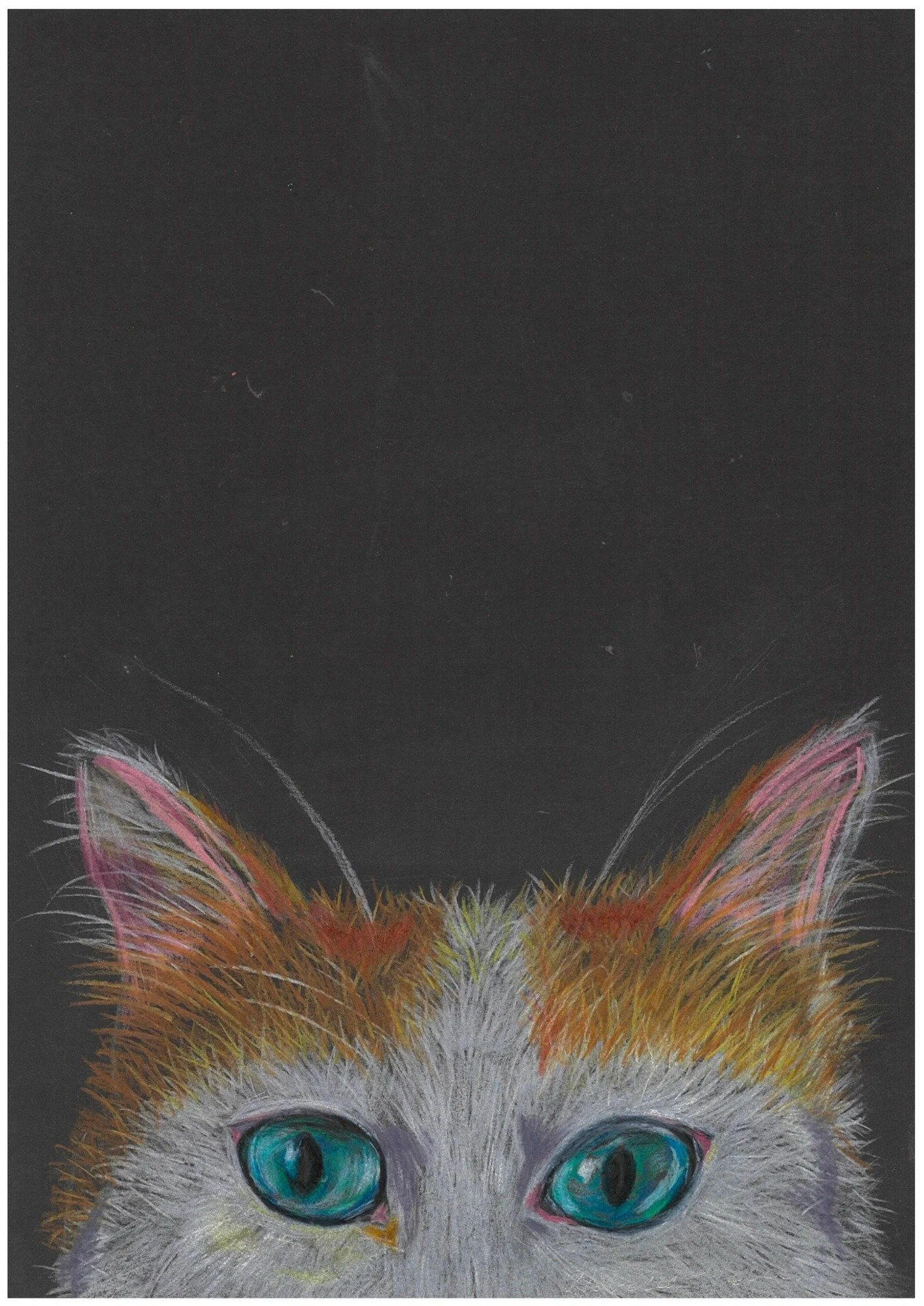 Cheeky Cat_Rebecca Yeend.jpg