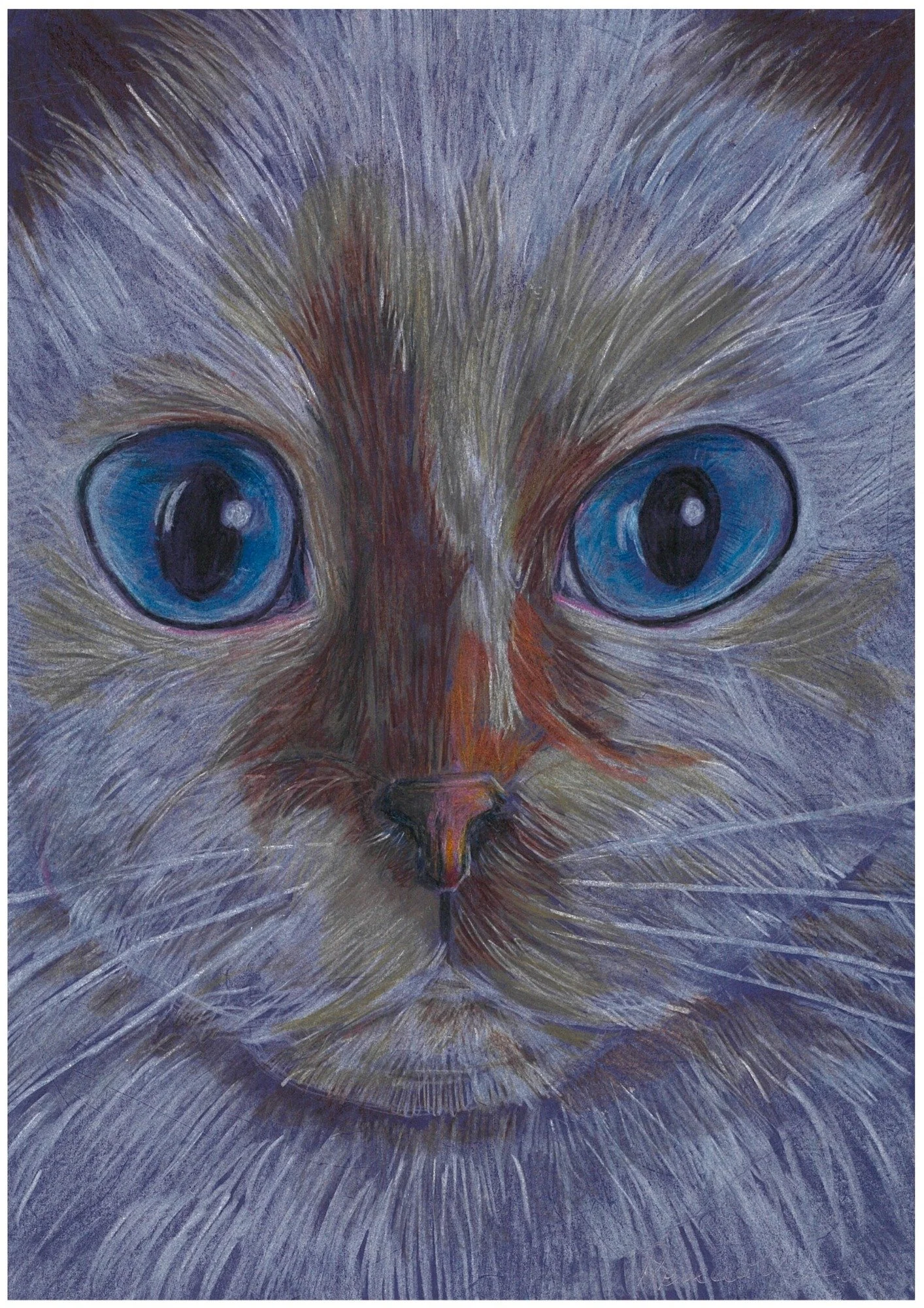 Ragdoll_Rebecca Yeend.jpg