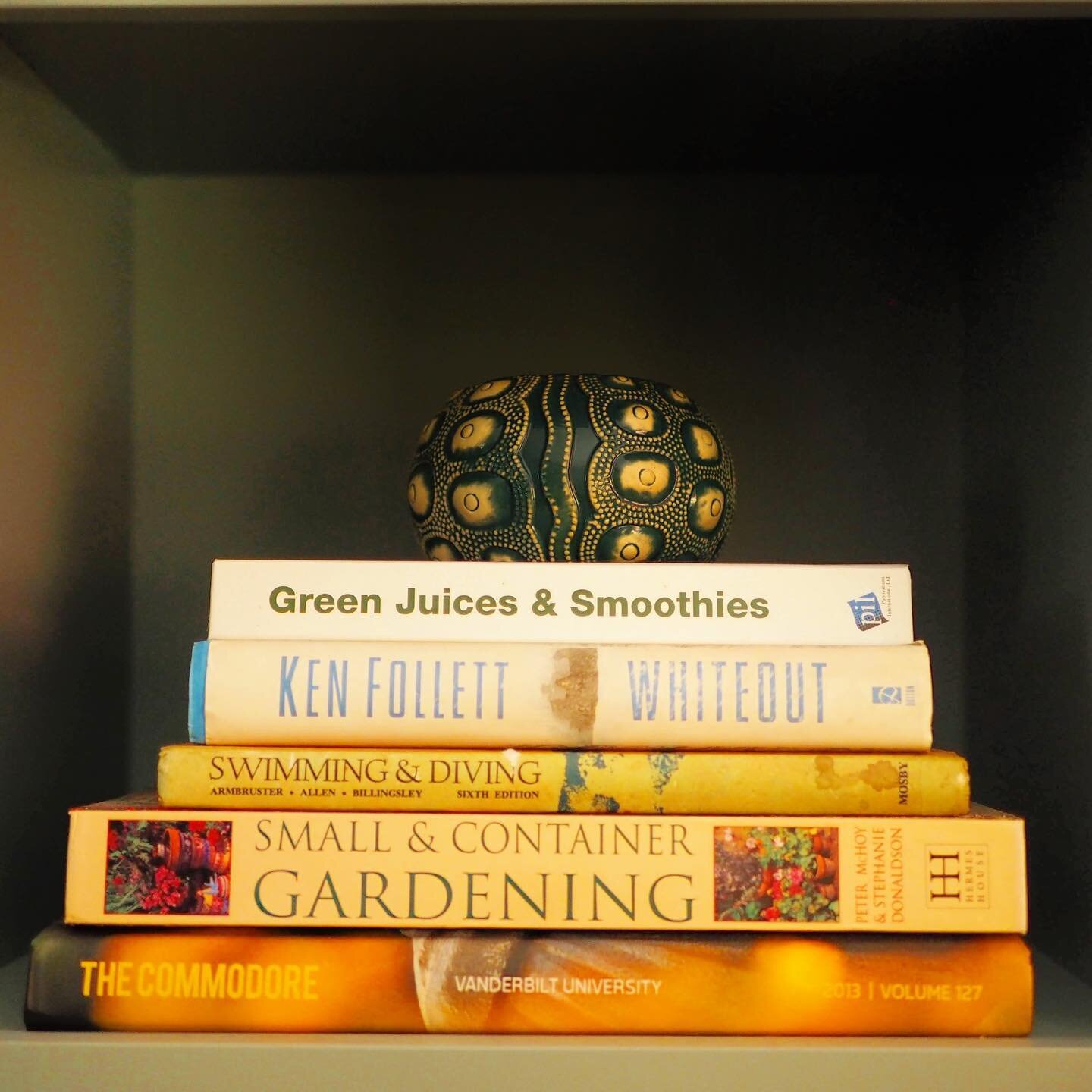 #shelfiesunday Here&rsquo;s a little cubby in my bookshelf. I don&rsquo;t make smoothies but I have this book, lol. Are you into smoothies? 

Also, then ceramic bowl is from @threedotsandadash - I have no idea how it was acquired! 

#airplanegames #h