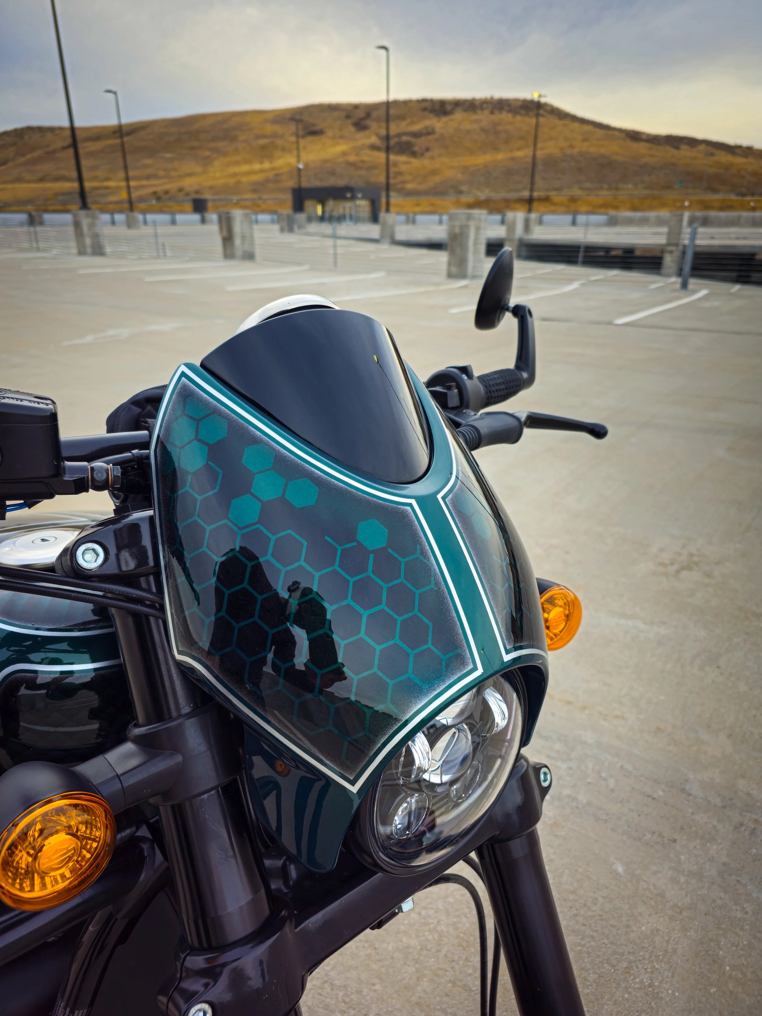2019 Street Rod 750 Custom
