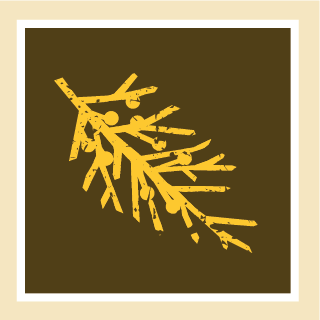 Juniper Passion