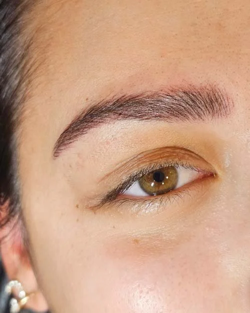 Micropigmentação Sobrancelha Fio a Fio