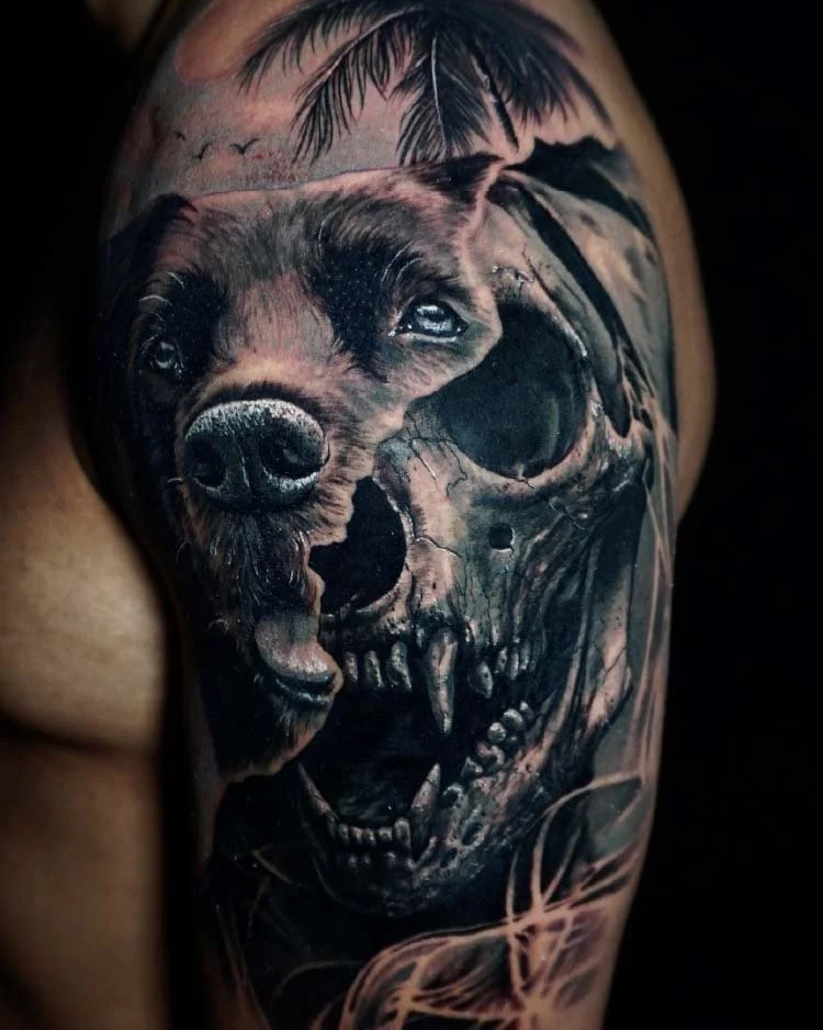 Caveiras - Bruno Guedes