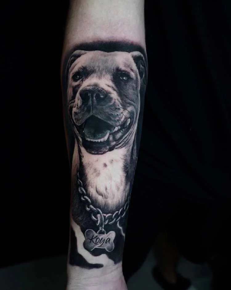 Tatuagens animais - Bruno Guedes